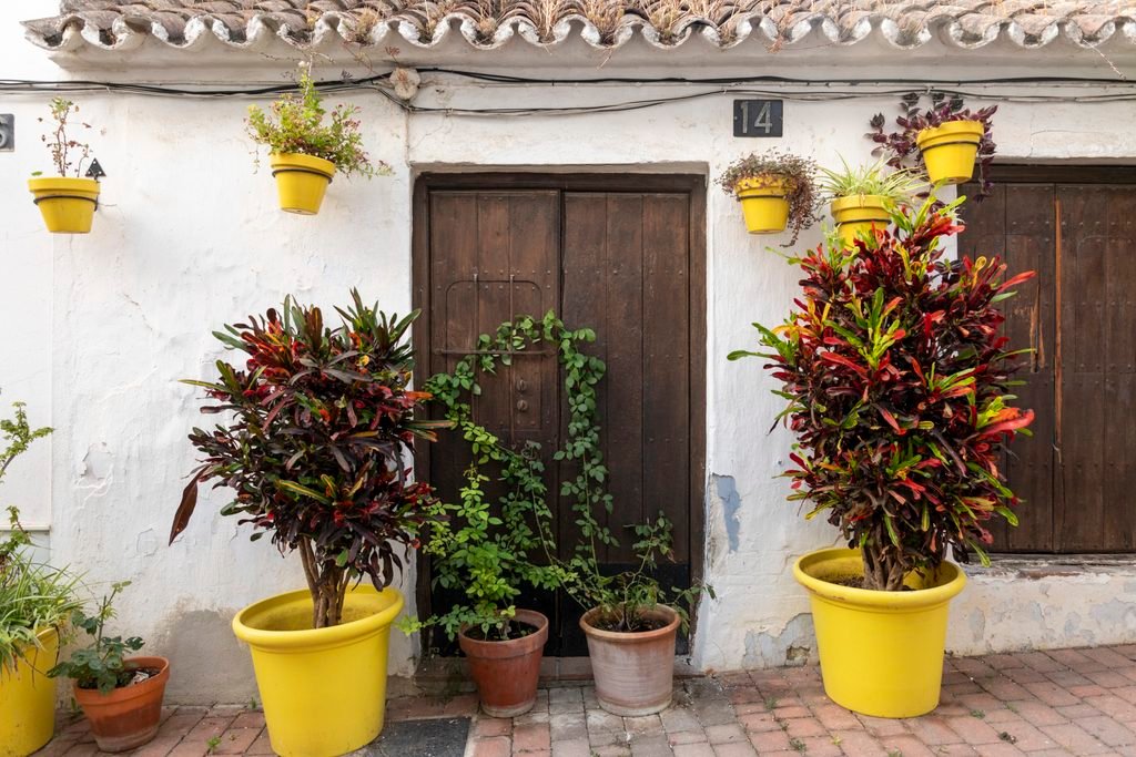 best things to do in Estepona